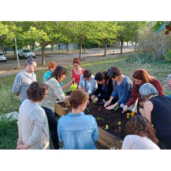 Taller iniciación: Un huerto urbano en casa - Huerto Urbano Barcelona